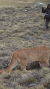 719K views · 14K reactions | When I’m tracking and filming...