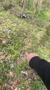 176K views · 4.9K reactions | Don't just get your kids outside; get yourself out there, too. It's time to reconnect with Nature | The Hillbillies | Facebook