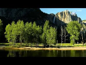 Panasonic LUMIX DMC-FZ1000 with Colin Witherill in 4K