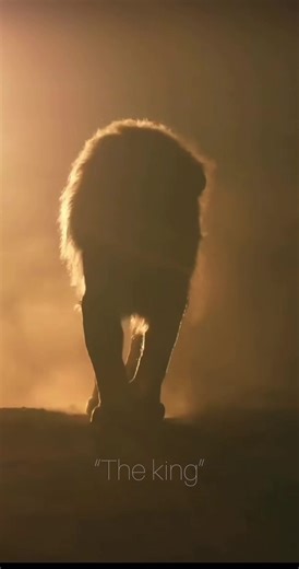 The Lion King Twist: A Shocking Wildlife Encounter
