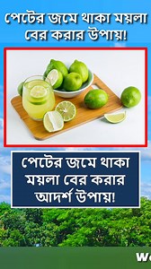 1.4M views · 15K reactions | পেটের জমে থাকা ময়লা বের করার আদর্শ উপায়  #reelsfb #foryoupage #tips #food #viralreels #reelsvideo #reelsviral #Reels #fyp #trendingreels | World Data Knowledge | Facebook