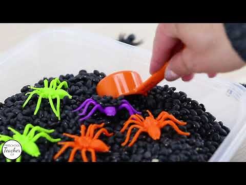 Spider Lesson Plans-Preschool Themes