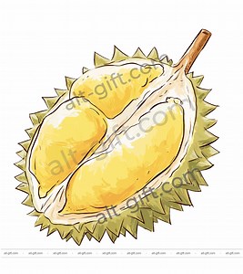 Thai Fruit Sticker Pack, Watercolor PNG Illustrations, Thailand Food Clipart, Printable Cut Files - Etsy