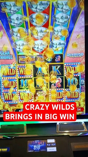 CRAZY WILDS #handpay#slot #slotmachine #gamble #casino #viral #shorts