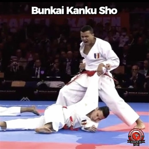 Kanku Sho: Maestría en Kata y Bunkai en Karate