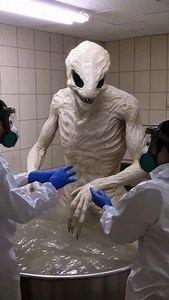 4.3M views · 29K reactions | Area 51 in the United States studies organisms #Area51 #USABiologicalLaboratory #UnknownOrganisms | Macho Gym 12 | Facebook