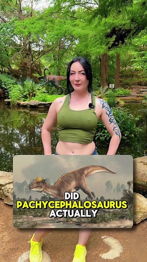 The truth about Pachycephalosaurus! | pachycephalosaurus