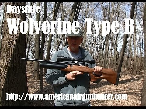 New air rifle: the Daystate Wolverine Type B