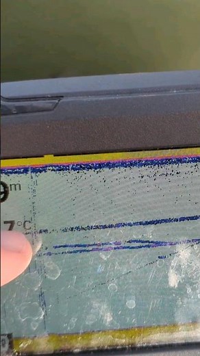 #sprungschicht auf dem #echolot erkennen #angeln