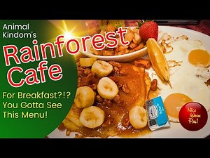 Rainforest Cafe -Breakfast at Disney's Animal Kingdom
