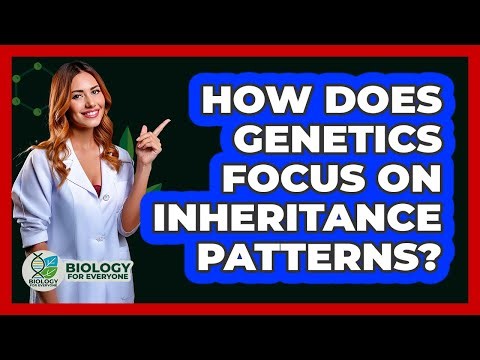 How Does Genetics Focus On Inheritance Patterns?