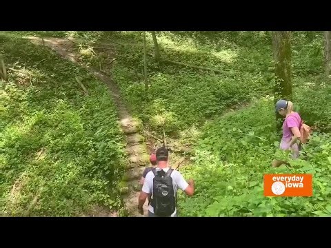 Everyday Iowa - Hiking Iowa at Backbone State Park