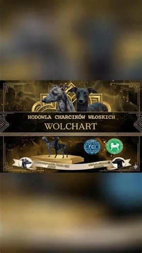 Hodowla "WOLCHAR"