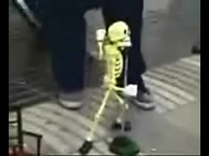 Dancing Skeleton Puppet GIF and Songs Compilation