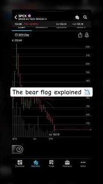 The bear flag and how to short stocks!