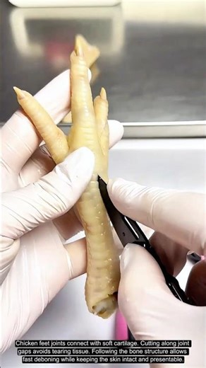 Chicken Feet Deboning Tips: Clean Cuts for Faster, Neater Prep Work