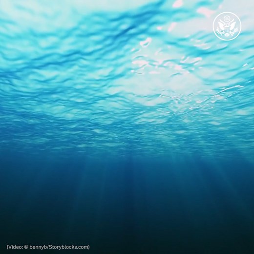 The ocean is one global system, and its health is key to the health of our planet. Together with our partners around the world, the United States is committed to the conservation and sustainable use of the high seas and its resources. | U.S. Department of State