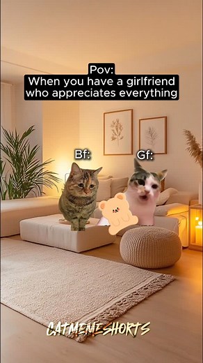 CAR MEMES 😽 When you have a girlfriend who appreciates everything #relationships #catmemes #relatable #memes #cat | Cat Memes Shorts