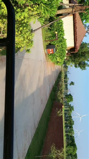 Ms Nguyen trên TikTok