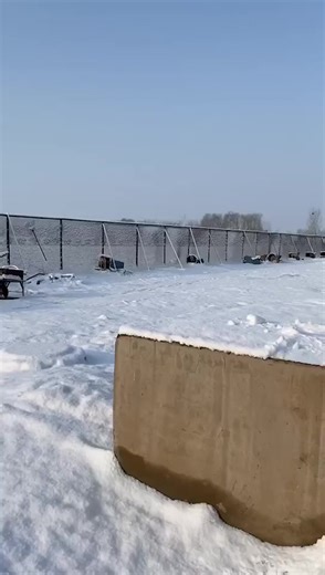 DNT KENNEL 🇨🇳 #apbt_game_dog #kennel #apbt #pitbull #gamedog | Pitbulls