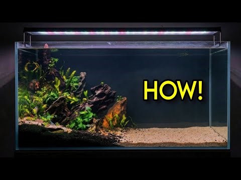Aquarium Setup Bangla | কম খরচে Fish Tank থেকে Aquascape | Complete Beginners Guide