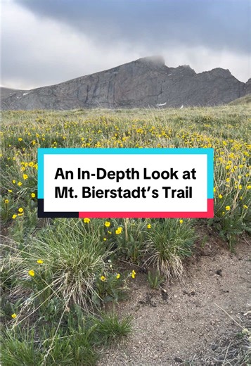 Explore Mt. Bierstadt’s Trail: A Guide to Colorado 14’ers