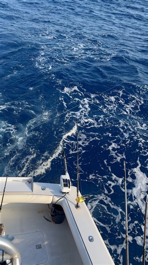 Sailfish fight on board our 47ft Viking INXS with Capt. Steven and Garrrett. #sailfish #dragburn #jumpingsailfish | Key West Fishing With Dream Catcher Charters | Facebook