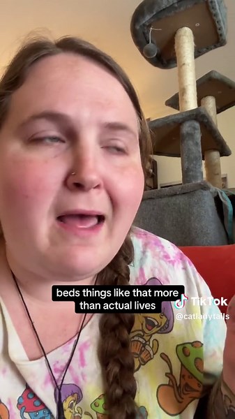 The Cruelty of Declawing Cats: A Cat Lover's Perspective