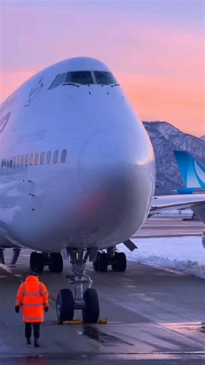 Flight Vintage on Reels