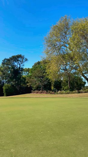 Carrollwood Country Club Sunday ⛳️ #fl #ccc #tampa #florida #carrollwood #golf | Carrollwood Country Club
