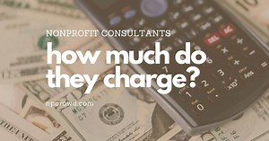 How Much Do Nonprofit Consultants Charge : Tables And Data