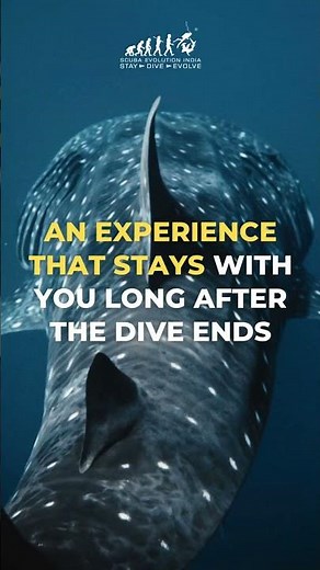 Dive the Philippines | Ultimate Scuba Adventure with SEI 🤿