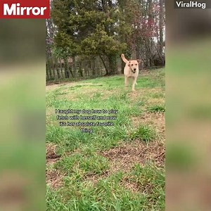 47K views · 807 reactions | The way she jumps up and down waiting for the ball ❤️ | The Mirror | Facebook