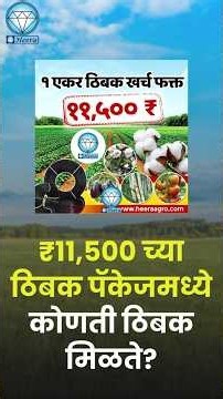 ड्रिप इरिगेशन और प्री-पंच पेप्सी में क्या अंतर है? समझिए सही तकनीक