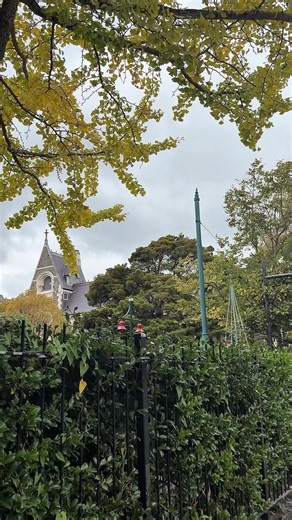 Top Things to Do in Christchurch This Weekend