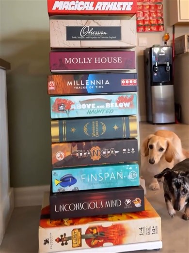 Organizing Your Board Games for Adoption and Rescue