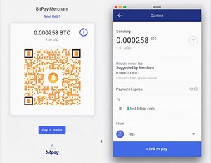 23 reactions · 31 comments | We'd like you to meet the new, futuristic BitPay payment experience. Warning: you might get bored of paying with credit cards. Read about it: https://blog.bitpay.com/ux-bitpay-invoicing/ | BitPay | Facebook