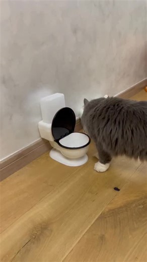 Nio Pets on Instagram: "When your cat’s water bowl just isn’t extra enough. 🚽💧 This toilet fountain keeps water fresh and fun—because hydration should never be boring! #ToiletBowlFountain #CatGadget #FunPetAccessory #StayHydrated #CatLovers"