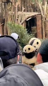 10K views · 1.1K reactions | Monster hua hua naughty ignored little brother and got beaten up..... Follow us for more cool stuff >>> https://shopee.com.my/mengempire | Cutemonster | Facebook