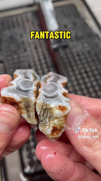 Unexpected beauty inside cut Botswana agate!! #agatedad #agate #unexpected #gem