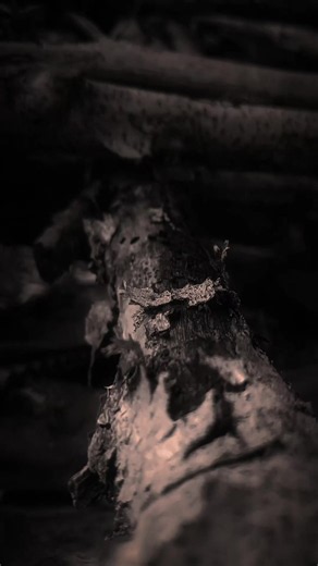 Me volví a acordar de ti — letra y significado romántico