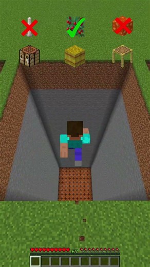 Which Minecraft Block Fall Can Steve Survive? 🤯#invincible