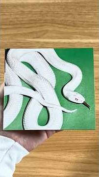 Deftones - Private Music CD Unboxing