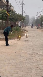 दिल को मेरे चैन आता है।🙌❤️ | Shailja Gautam