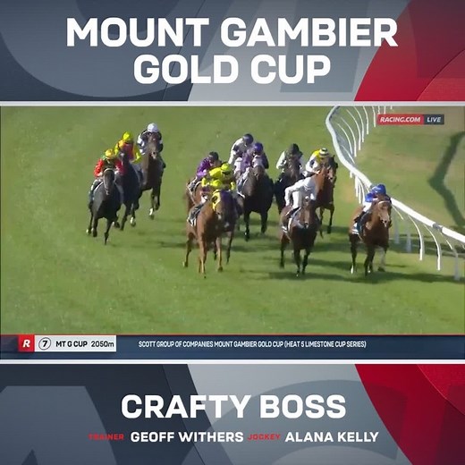 Crafty Boss continues his stellar recent form, adding a Mount Gambier Gold Cup to his resume ⭐️ Alana Kelly rode the gelding brilliantly, completing a double on the card. | Racing.com
