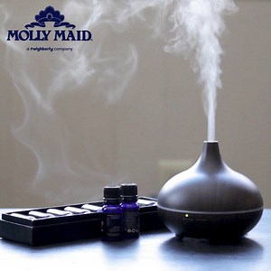 5.3K views | Green cleaning doesn’t have to be expensive. We’ve got...