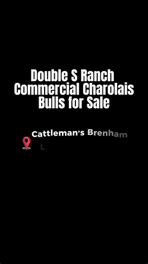 1K views · 11 reactions | Check out these guys! They will be selling at Cattleman's Brenham Livestock on Sunday, October 26th at Noon! Bidding available online and in person at DV Auctions! | Cattleman's Brenham Livestock | Facebook