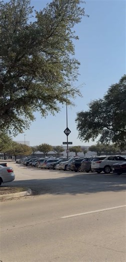 Holiday Shopping Madness at Grapevine Mills Mall
