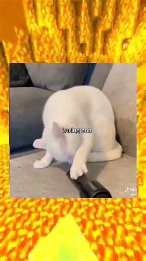 tahan tawa part 36 yang ketawa minum pake gelas lucu