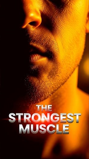 What is the strongest muscle in the human body